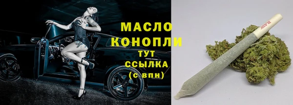 ECSTASY Богородицк