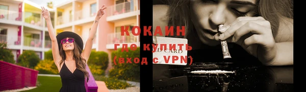ECSTASY Богородицк