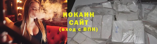 молекула духа Белоозёрский