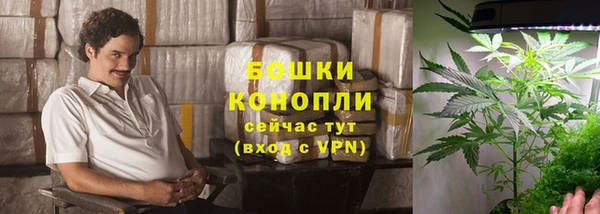трава Богданович