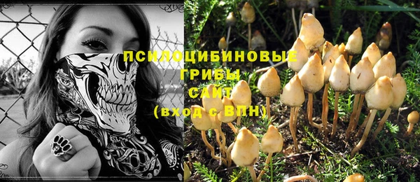 ALPHA PVP Богородск